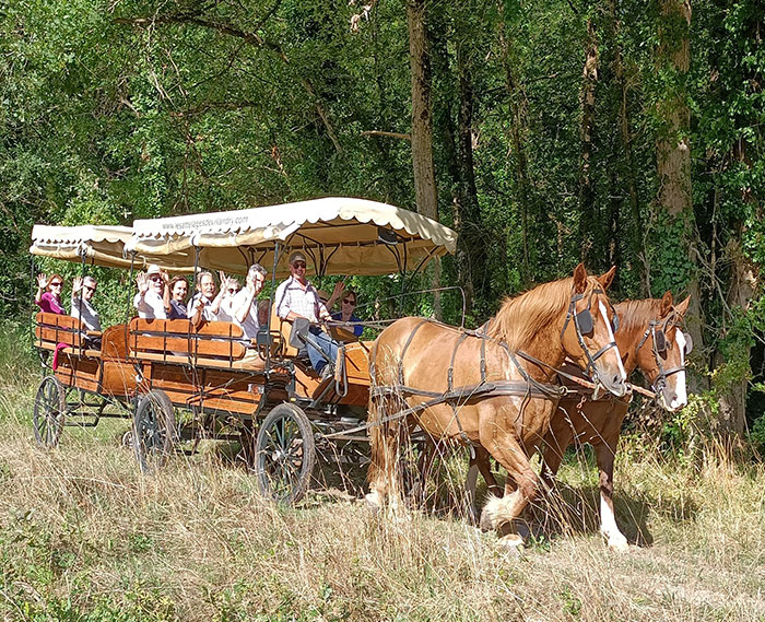 Les Attelages de Villandry : balade en calèche à Villandry près de Tours (37)