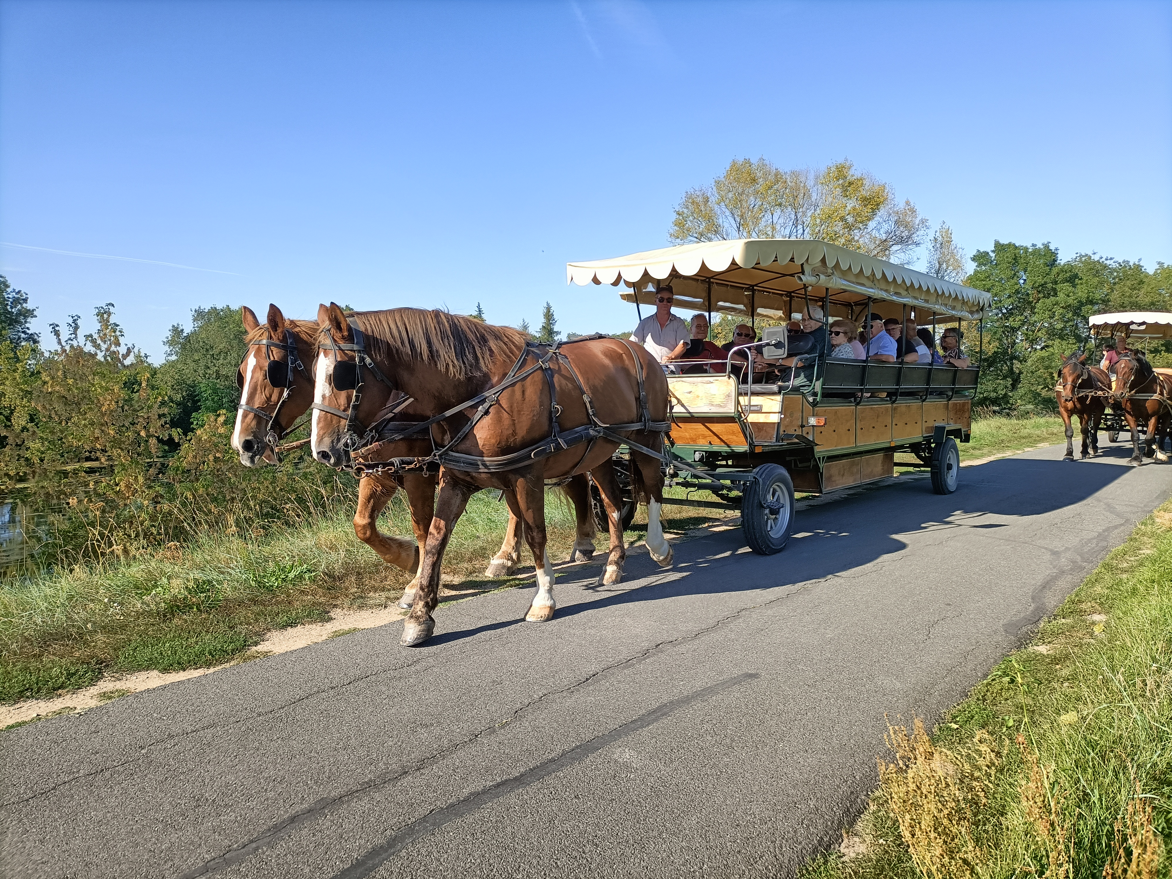 Les Attelages de Villandry : balade en calèche ou à cheval à Villandry près de Tours (37)