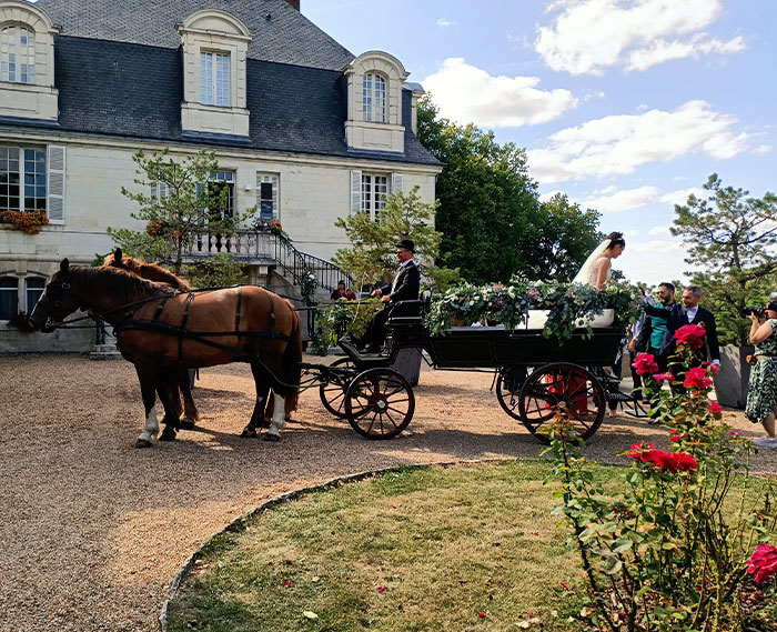 Les Attelages de Villandry : location calèche mariage à Villandry près de Tours (37)