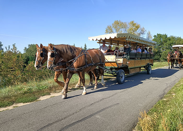 Les Attelages de Villandry : promenade en calèche à Villandry près de Tours (37)